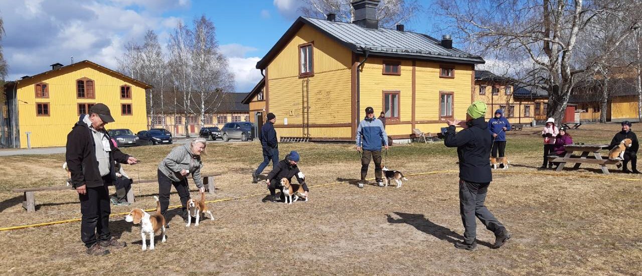 Inbjudan till utställning i Sollefteå